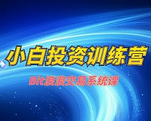 Bit浪浪交易系统课-VIP新手小白投资训练营