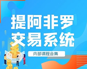 提阿非罗交易系统内部课程合集