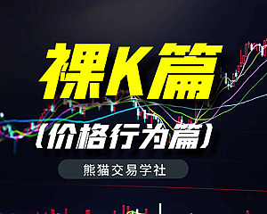 裸K篇(价格行为篇)-熊猫交易学社VIP系统课